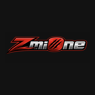 ZmiOne